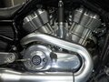 2010 Harley-Davidson V-Rod Muscle, чёрный, 1350000 рублей - вид 6