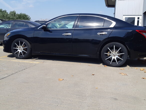 2008 Nissan Maxima VII (A35), чёрный - вид 8
