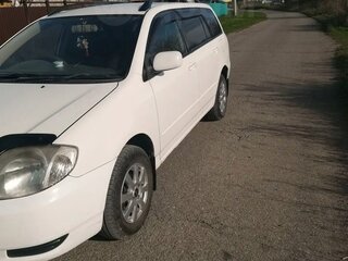 2002 Toyota Corolla Fielder IX (E120, E130), белый, 599000 рублей, вид 1