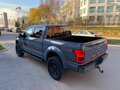 2019 Ford F-150 XIII Рестайлинг, серый - вид 1