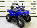 2025 Bison Hammer 250 PRO, синий - вид 5