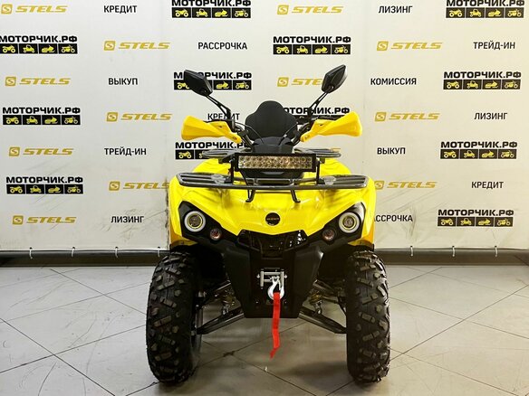 2025 Bison Hammer 200, жёлтый - вид 6
