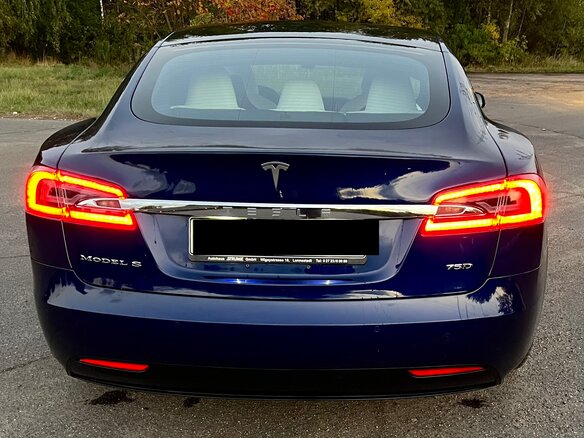 2019 Tesla Model S 75D I Рестайлинг, синий, 2500000 рублей - вид 11