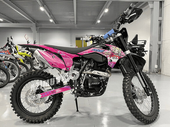 2025 BSE Z1, фиолетовый, 143990 рублей - вид 1