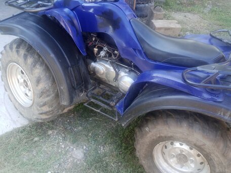 2002 Armada RT-50, синий, 80000 рублей, вид 4