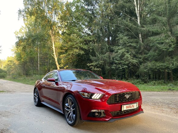 2016 Ford Mustang VI, красный - вид 24