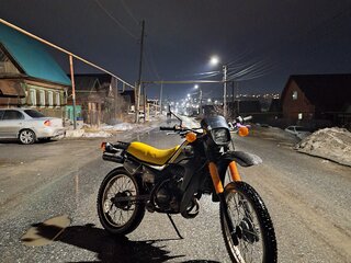 Suzuki TS 50