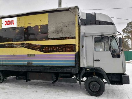 1994 MAN LE/L 2000, серый, 500000 рублей, вид 4