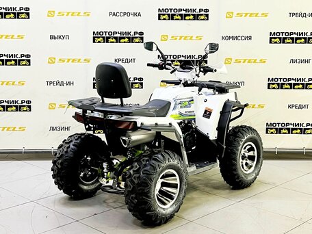 2025 Bison ATV200, белый, 219000 рублей, вид 5