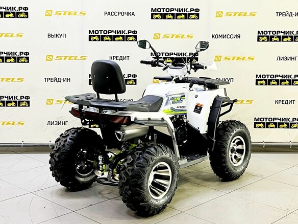 2025 Bison ATV200, белый - вид 4