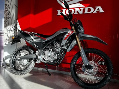 2025 Honda CRF 300L, серый, 891000 рублей, вид 3