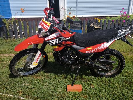 2023 Racer Panther, красный, 100000 рублей, вид 2