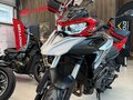 2026 QJMotor SRT 900 SX, зелёный, 899000 рублей - вид 8