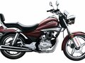 2025 Honda Shadow 150, чёрный, 314900 рублей - вид 1