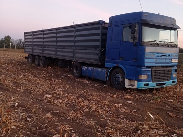 1998 DAF 95XF, синий, 1400000 рублей - вид 3