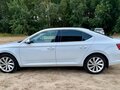 2019 Skoda Superb III, белый, 2050000 рублей - вид 6