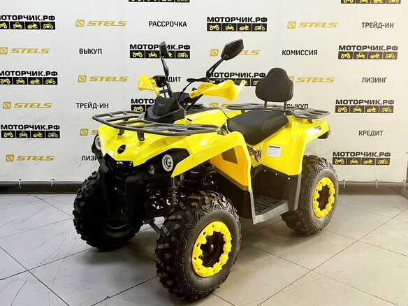 2025 Bison Hammer 200, жёлтый