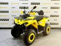 2025 Bison Hammer 200, жёлтый