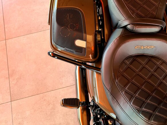 2021 Harley-Davidson CVO, коричневый - вид 5