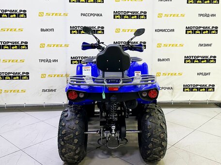 2025 Bison ATV200, синий, 239900 рублей, вид 4
