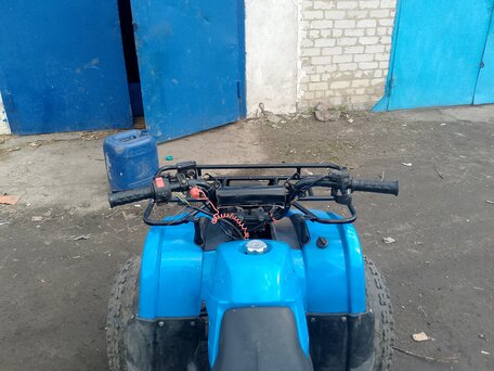 2023 Motoland ATV 125 Fox, синий, 75000 рублей, вид 3