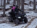 2024 CFMoto CFORCE 600 Advanced EPS, коричневый, 929920 рублей - вид 7
