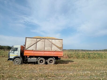 1997 КамАЗ 55102, серый, 1350000 рублей, вид 5