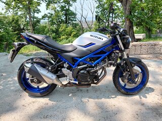 2020 Suzuki SV 650, синий, 560000 рублей, вид 1