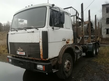 2007 МАЗ 6303, белый, 600000 рублей, вид 3