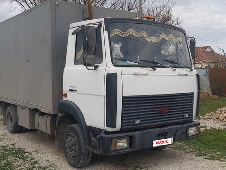 2003 МАЗ 4370, белый, 650000 рублей, вид 1