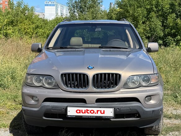 2005 BMW X5 3.0i I (E53) Рестайлинг, серый