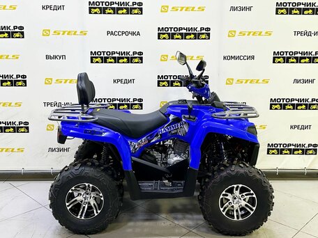 2025 Bison Hammer 250 PRO, синий, 252990 рублей, вид 5