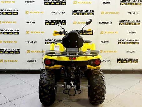 2025 Bison Hammer 200, жёлтый, 239900 рублей, вид 4