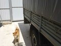 2017 УАЗ Профи, зелёный, 1100000 рублей - вид 5