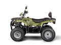 2023 Irbis ATV 200U, зелёный, 319900 рублей - вид 1