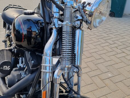 2008 Harley-Davidson Cross Bones, чёрный, 1750000 рублей, вид 5