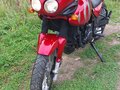 2002 Triumph Tiger 955i, пурпурный, 320000 рублей - вид 4