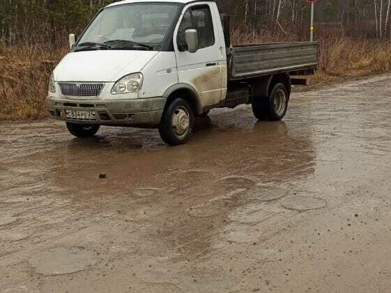 2005 ГАЗ ГАЗель (3302), белый, 650000 рублей