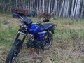 2020 Racer Alpha, синий, 60999 рублей - вид 2