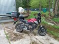 2020 Honda CB 650R, пурпурный, 700000 рублей
