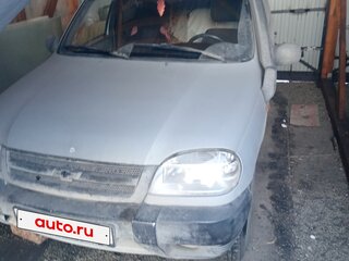 2004 Chevrolet Niva I, серый, 250000 рублей, вид 1