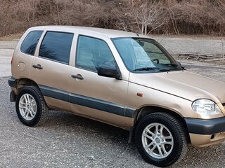 2004 Chevrolet Niva I, золотистый, 390000 рублей, вид 3