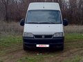 2009 Fiat Professional Ducato, белый, 999999 рублей - вид 3