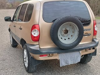 2004 Chevrolet Niva I, золотистый, 390000 рублей, вид 4