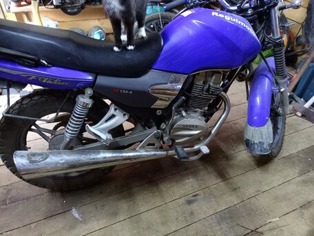 2015 Regulmoto SK150, синий, 95000 рублей, вид 3