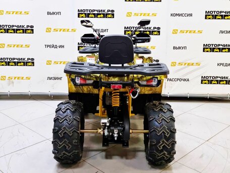 2026 Motoland Wild Track 200 X Pro, жёлтый, 219000 рублей, вид 4