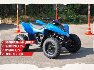 2025 CFMoto CFORCE 110, синий, 269910 рублей, вид 1