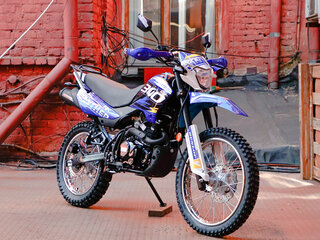 2025 Racer Panther, оранжевый, 166650 рублей, вид 3