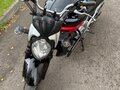 2011 Suzuki SFV 650 Gladius, чёрный, 330000 рублей - вид 8