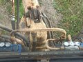 2008 ЮМЗ ЭО2621, 800000 рублей - вид 9